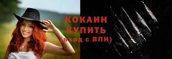 мяу мяу мука Пестово