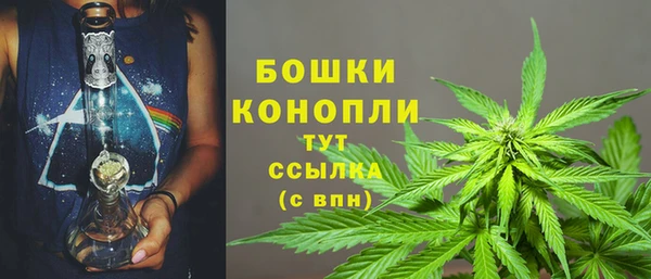 меф Пересвет