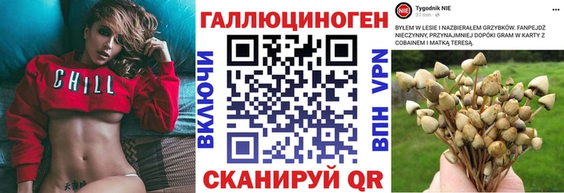 Галлюциногенные грибы Cubensis  kraken зеркало  Советск 
